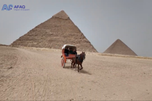 Read more about the article Dullberg Tour with Afaq in Egypt