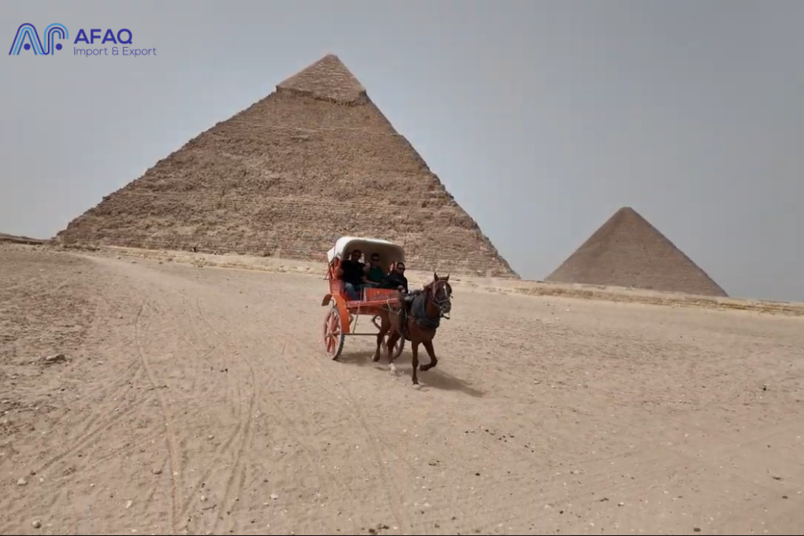 You are currently viewing Dullberg Tour with Afaq in Egypt